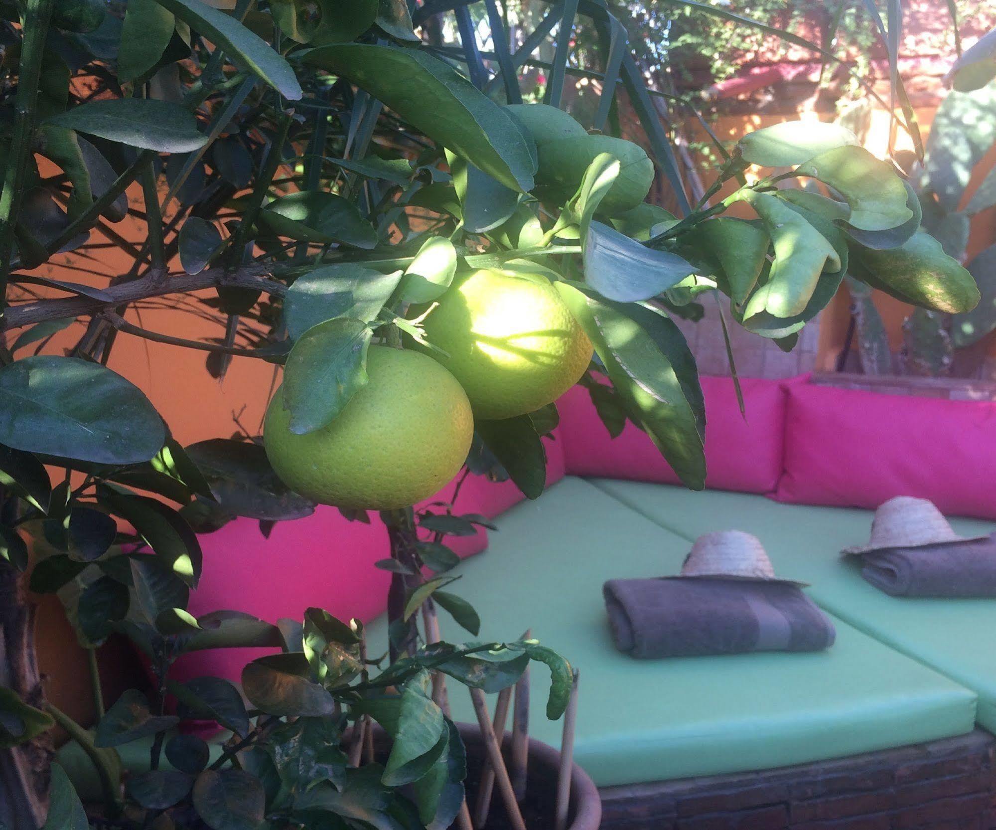 Riad Laith (Adults Only) มาร์ราเกช ภายนอก รูปภาพ